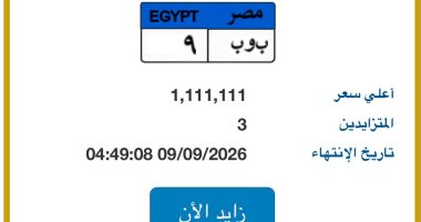 طرح لوحة  "ب و ب - 9" المميزة بسعر تخطى مليون جنيه في مزاد اللوحات
