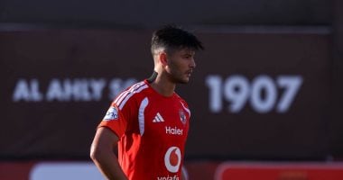 أشرف داري