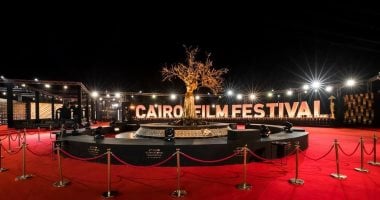 مهرجان القاهرة السينمائى الدولى