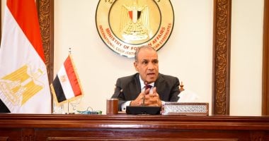 وزير الخارجية بدر عبد العاطي