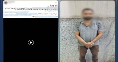 ضبط شخص ألقى كلب من الطابق السادس لتركه العمل