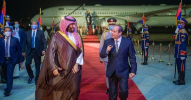 الرئيس السيسى والأمير محمد بن سلمان 
