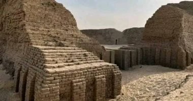 شونة الزبيب