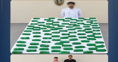  الداخلية تسقط إمبراطوريات الصنف والأسلحة بـ 161 مليون جنيه