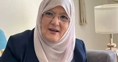 شمس البارودى
