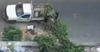 ضبط المتهمين بقطع شجرة بالاسكندرية