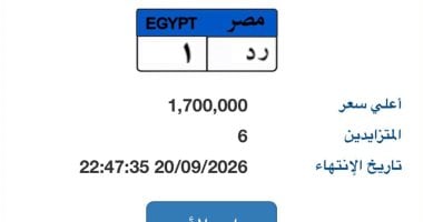 لوحة السيارة 