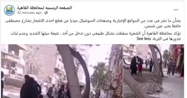 تغطية تليفزيون اليوم السابع 