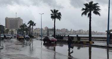 يرفع مخاطر الأمراض الفطرية.. مركز المناخ يحذر المزارعين من الرش قبل المطر