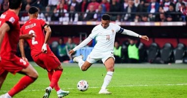 مباراة تركيا وفرنسا