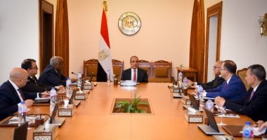 وزير الخارجية يعقد اجتماعاً لمتابعة التحضيرات للفعاليات الأفريقية فى العلمين الجديدة