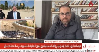 Political expert: Palestinian resilience and sanctions can counter West Bank displacement plans