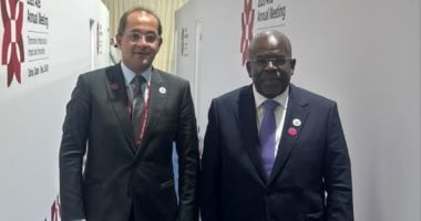Egypt seeks more opportunities for private sector in Tanzania, finance minister says