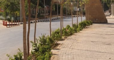 محافظ القاهرة: خطة متكاملة لـ "تخضير العاصمة" لتحسين البيئة الحضرية.. صور