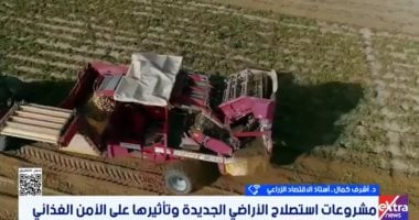 أستاذ اقتصاد زراعى: الدولة تتبنى استراتيجية متكاملة للأمن الغذائى