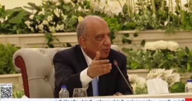 محمود عصمت وزير الكهرباء والطاقة المتجددة