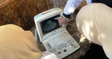 قوافل الطب البيطرى بأسوان تقدم 2065 خدمة