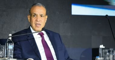 وزير الخارجية بدر عبد العاطى