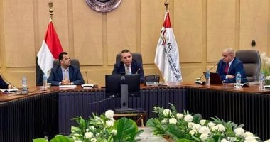 Egypt’s Commercial Representation Outlines Priorities for Economic Cooperation With Africa