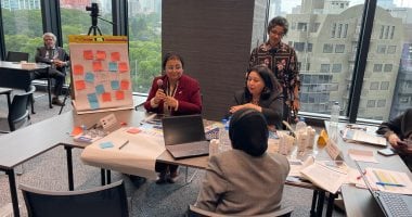 Egypt Joins 11 Other Countries at Healthy Longevity Workshop in Japan