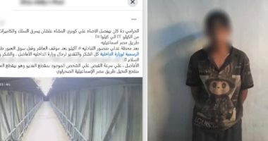 الداخلية تكشف ملابسات فيديو سرقة أسلاك كوبري مشاة بالسلام وتضبط المتهم