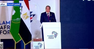 السيد الرئيس عبد الفتاح السيسي