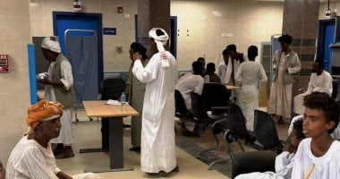 Aswan Governor Orders Two Monthly Medical Convoys to Wadi Al-Allaqi