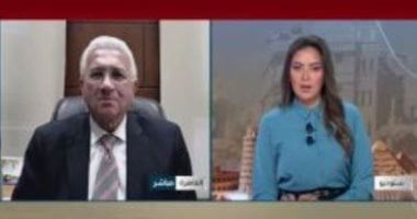 Security and Stability Underpin Africa’s Sustainable Development, Hegazy Says