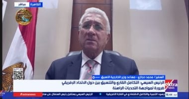 دبلوماسى سابق: التكامل الأفريقي حائط صد أمام تحديات القارة