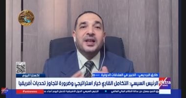 خبير علاقات دولية: أفريقيا بحاجة إلى التكتل لمواجهة الضغوط الدولية