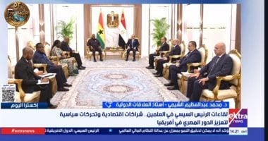 أستاذ علاقات دولية: مصر تقود تحركات لتعزيز التكامل الأفريقي