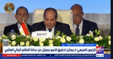 أستاذ علاقات دولية: مصر تقود مسارًا متكاملًا للتنمية في أفريقيا