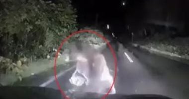 لحظات مرعبة.. دب ضخم يخرج من الظلام ويهاجم سيارة وسط جزيرة يابانية "فيديو"