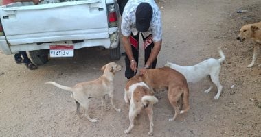 تحصين 22 كلبا حرا ضد السعار في بالعاشر من رمضان