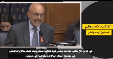 Former US Lawmaker Praises Egypt’s Counterterrorism Role