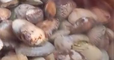 البكالويز وبلح البحر.. أكلات دمياطية تعود إلى موائد الأهالي فى الشتاء