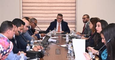 Egyptian Parliamentary Committee Concludes Review of Human Rights Council Amendments