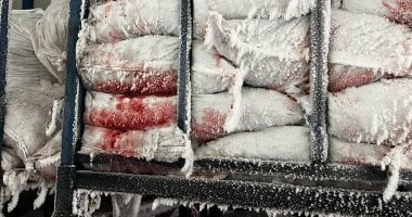 ضبط 10 أطنان و730 كيلو فراولة ومانجو مجمدة فاسدة في حملة بالإسماعيلية
