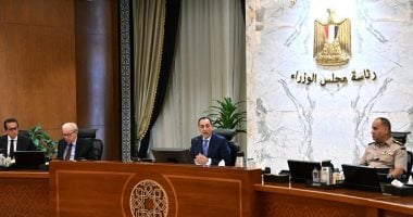 مجلس الوزراء 