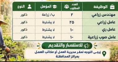 مديرية العمل بالوادى الجديد تعلن عن 47 فرصة عمل لمهندسين وعمال زراعيين