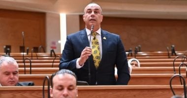 Egypt Forum 2026 Offers Chance for Broader Dialogue and Practical Solutions, MP Says