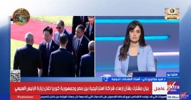 أستاذ علاقات دولية: الشراكة الاستراتيجية بين مصر وكوريا تفتح مجالات تعاون جديدة