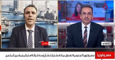 أستاذ علوم سياسية: الشراكة الاستراتيجية بين مصر وكوريا الجنوبية تعزز التعاون