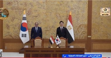 طارق البرديسي: مصر تحجز مقعدها في النظام الدولي الجديد