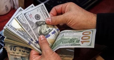 سعر الدولار مقابل الجنيه داخل البنك المركزى المصرى