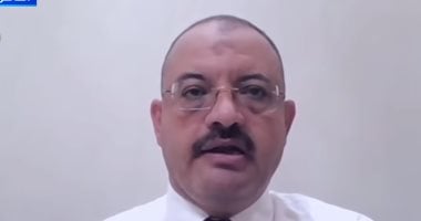 أستاذ اقتصاد: إقامة منطقة صناعية كورية بمصر بوابة استراتيجية لتوطين التكنولوجيا