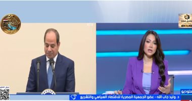 وليد جاب الله: لقاء الرئيس السيسى بالشركات الكورية يعزز توطين التكنولوجيا