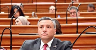برلمانى: منتدى مصر 2026 يؤسس لحوار جاد.. وترحيب الحكومة بالنقد يعزز الثقة