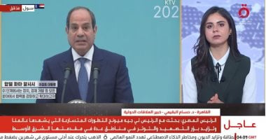 حسام البقيعى: مصر وكوريا أمام مرحلة جديدة من الشراكة الاستراتيجية ونقل التكنولوجيا