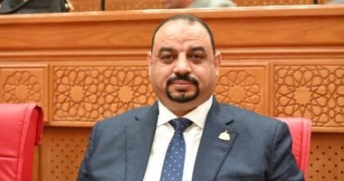 نائب: منتدى مصر 2026 فرصة حقيقية للحوار وطرح رؤى عملية تدعم مسيرة التنمية